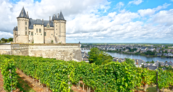 Франция — калейдоскоп винных регионов