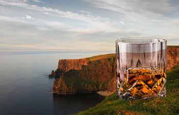 День святого Патрика: истории об ирландцах под виски