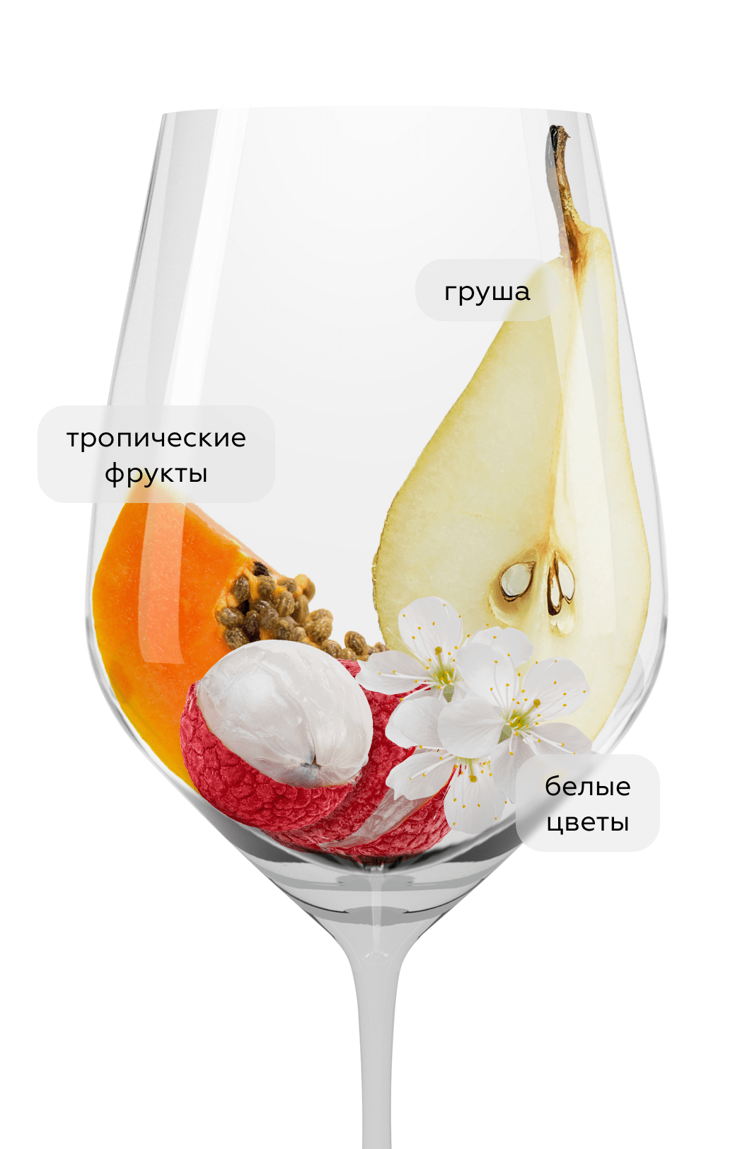 🍷 Вино Pinot Grigio, Domini Veneti, 2022 (143650), белое