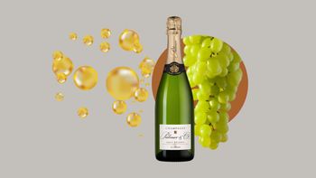 Шампанское Palmer & Co: начало