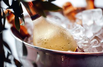 Новая услуга «Охлаждение вина» при бронировании напитков в SimpleWine