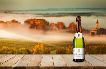 Вино недели: Cremant de Bourgogne Extra Brut Terroirs Mineraux, Andre Delorme