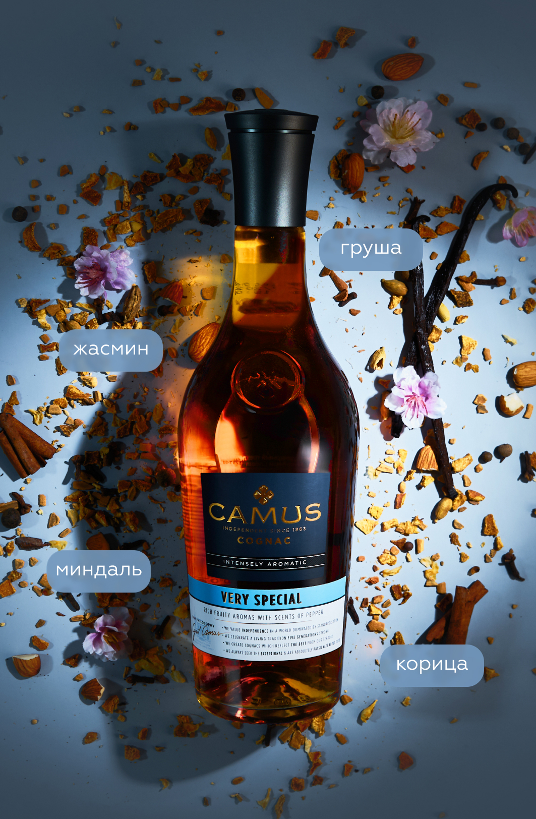🍷 Коньяк Camus VS Intensely Aromatic в подарочной упаковке с 2-мя