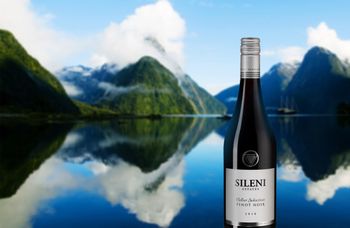 Вино недели: Sileni Pinot Noir