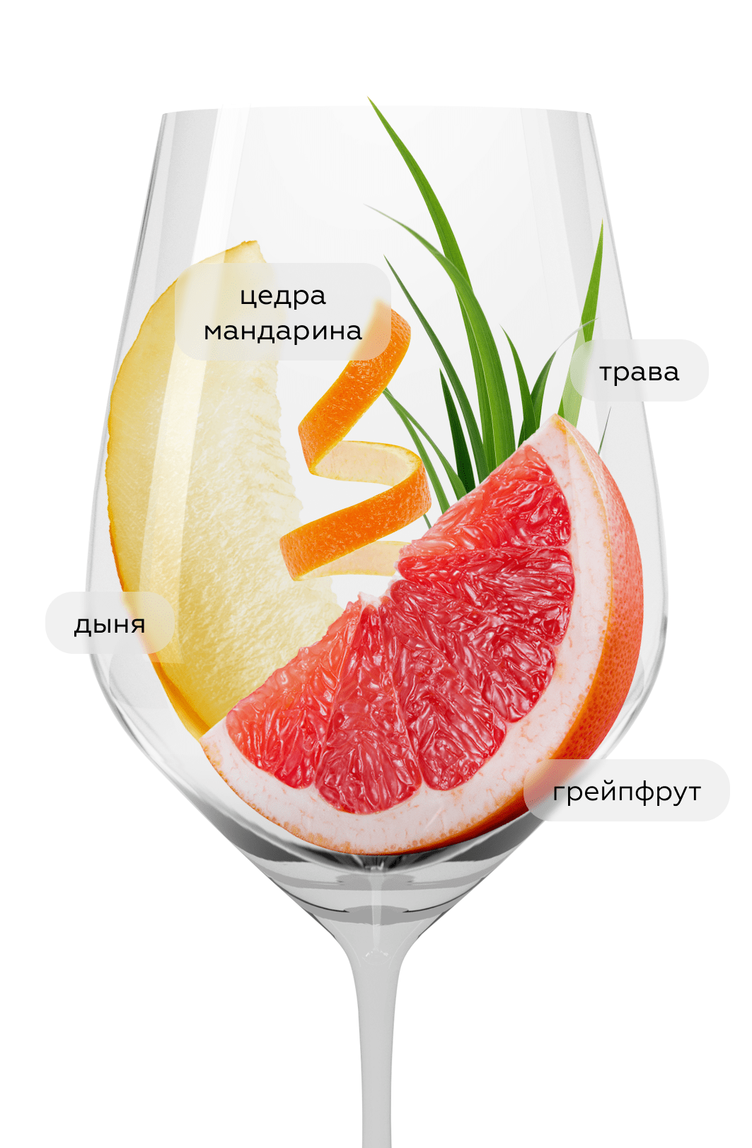 🍷 Вино Sauvignon Blanc Estate Series, Errazuriz, 2024 (152158