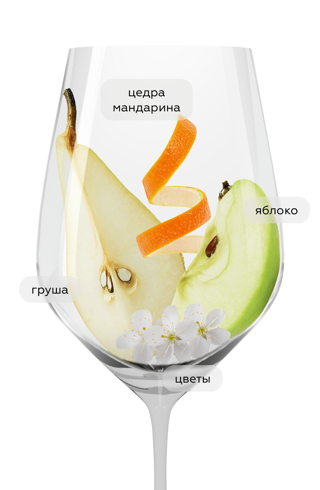 🍷 Вино Moscato Muzzi, Origin Wine Stellenbosch, 2025 (157276