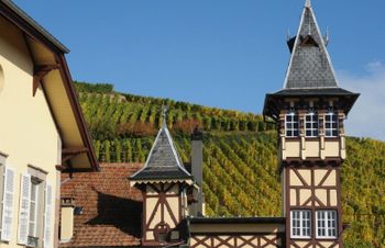 Trimbach — король эльзасских вин