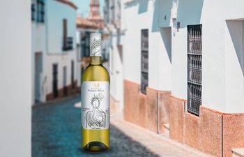Вино недели: Sauvignon Organic, Marques de Riscal