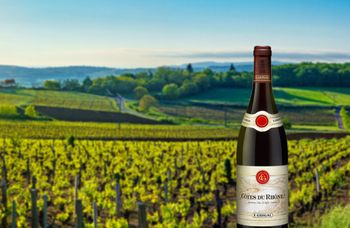 Вино недели Cotes du Rhone Rouge, Guigal