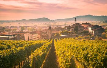 «Наши» в топ-129 лучших итальянских вин