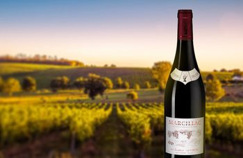 Вино недели: Marcillac Lo Sang del Pais, Domain du Cros