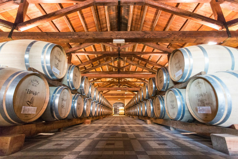 Барбера: сорт винограда из Пьемонта, описание, лучшие вина