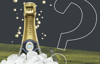Шампанское: как хорошо вы разбираетесь в пузырьках?