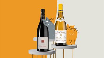 Вино и котики: гид по регионам Франции