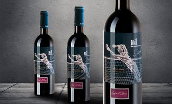 Вино недели: Alpasion Grand Malbec Lev Yashin