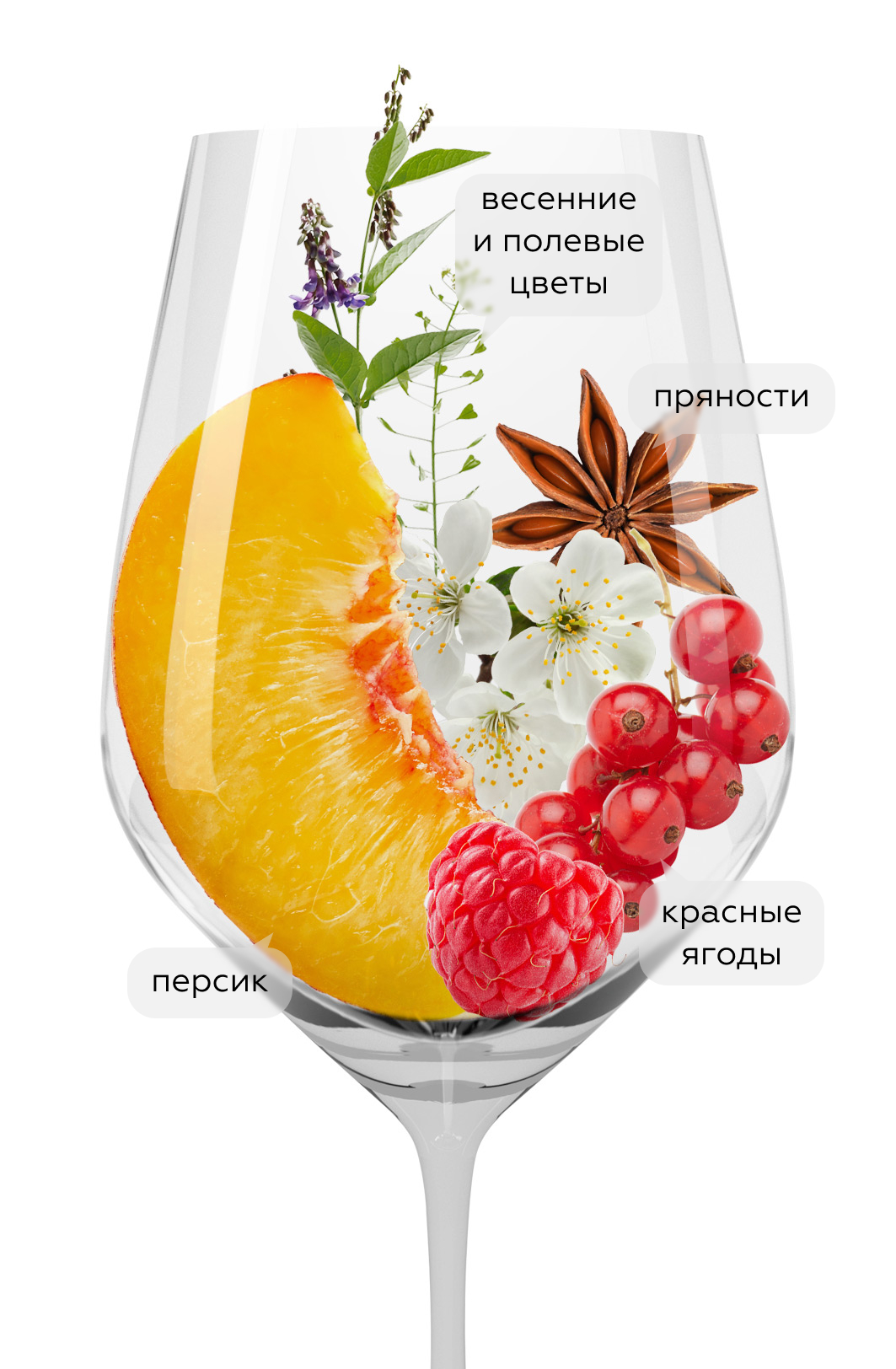 🍷 Вино Billette, Listel (143938), розовое сухое, Франция, Прованс