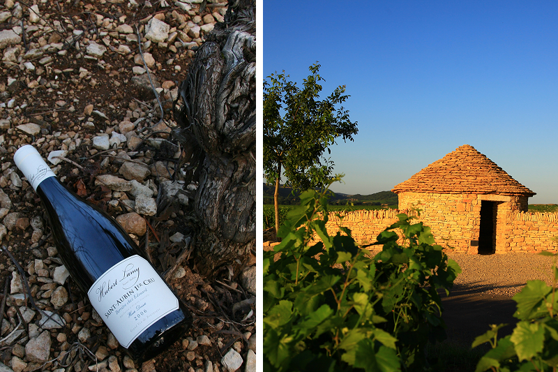 Domaine Hubert Lamy