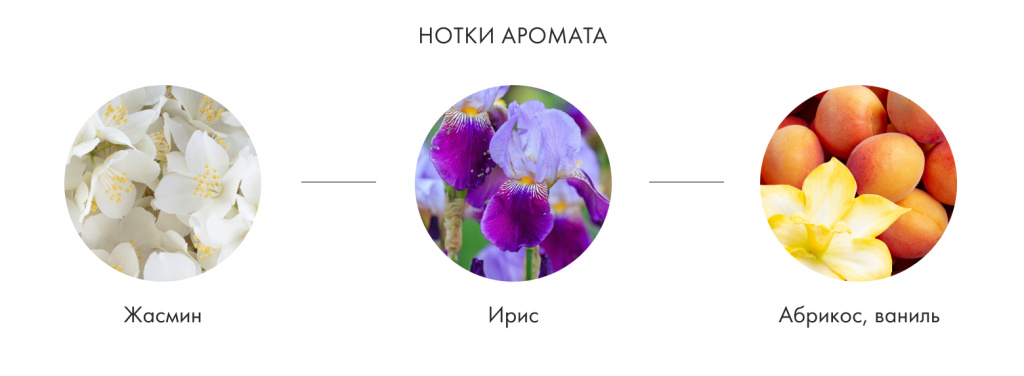 Нотки аромата