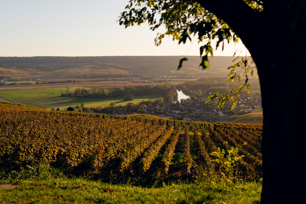 Louis Roederer