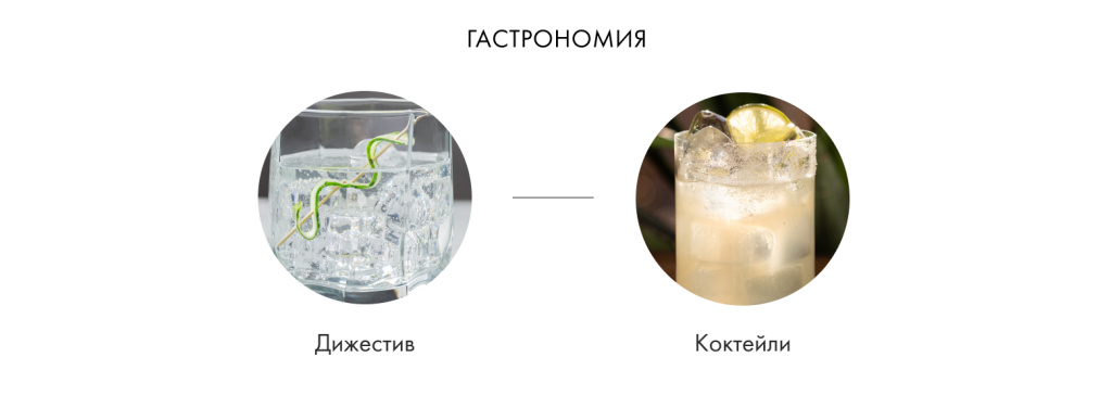 Гастрономия