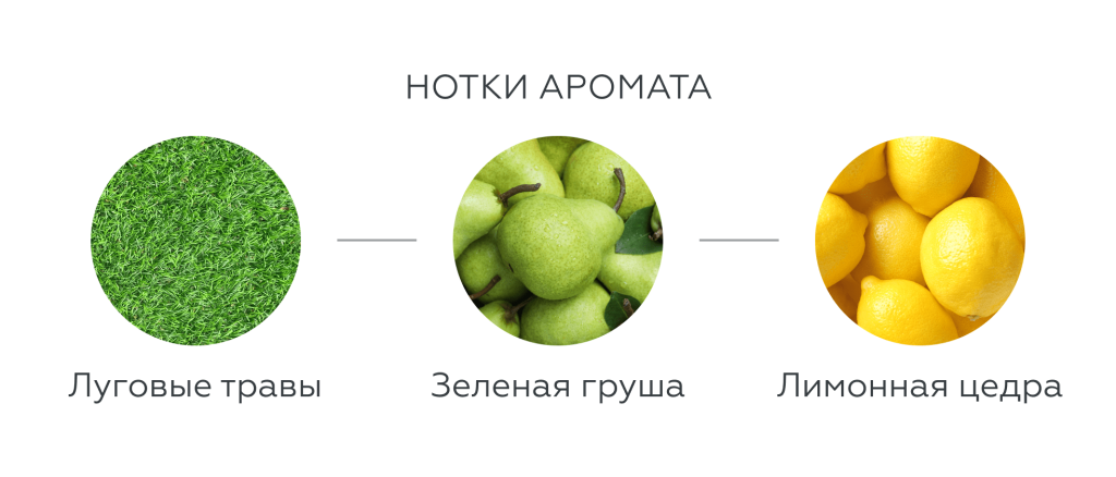 Ароматика