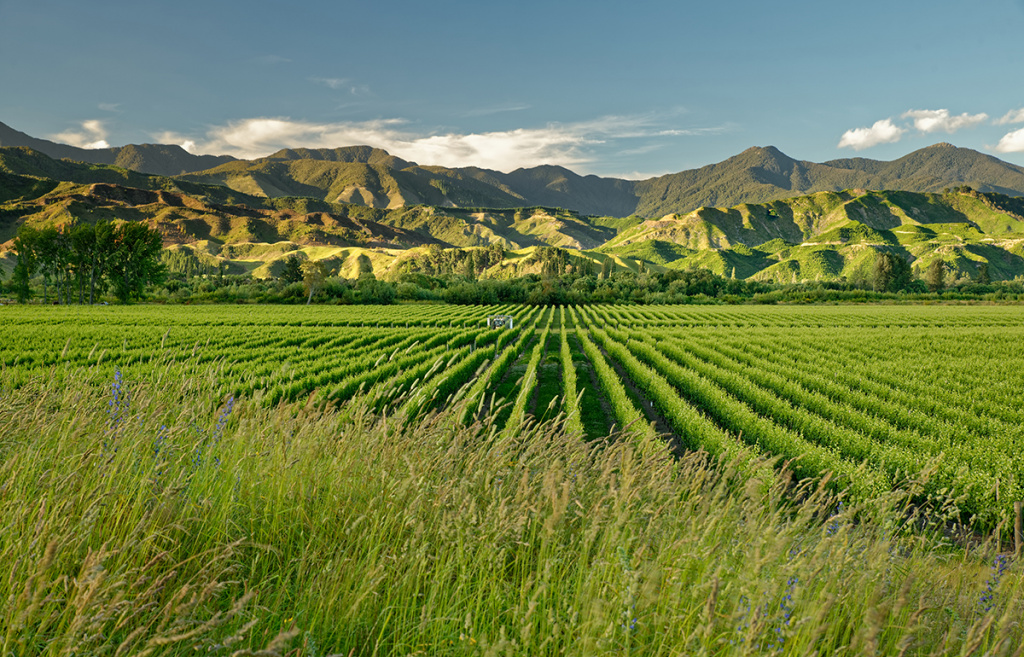 Marlborough новая Зеландия