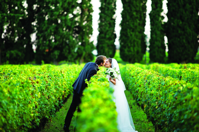 Свадьба на винограднике