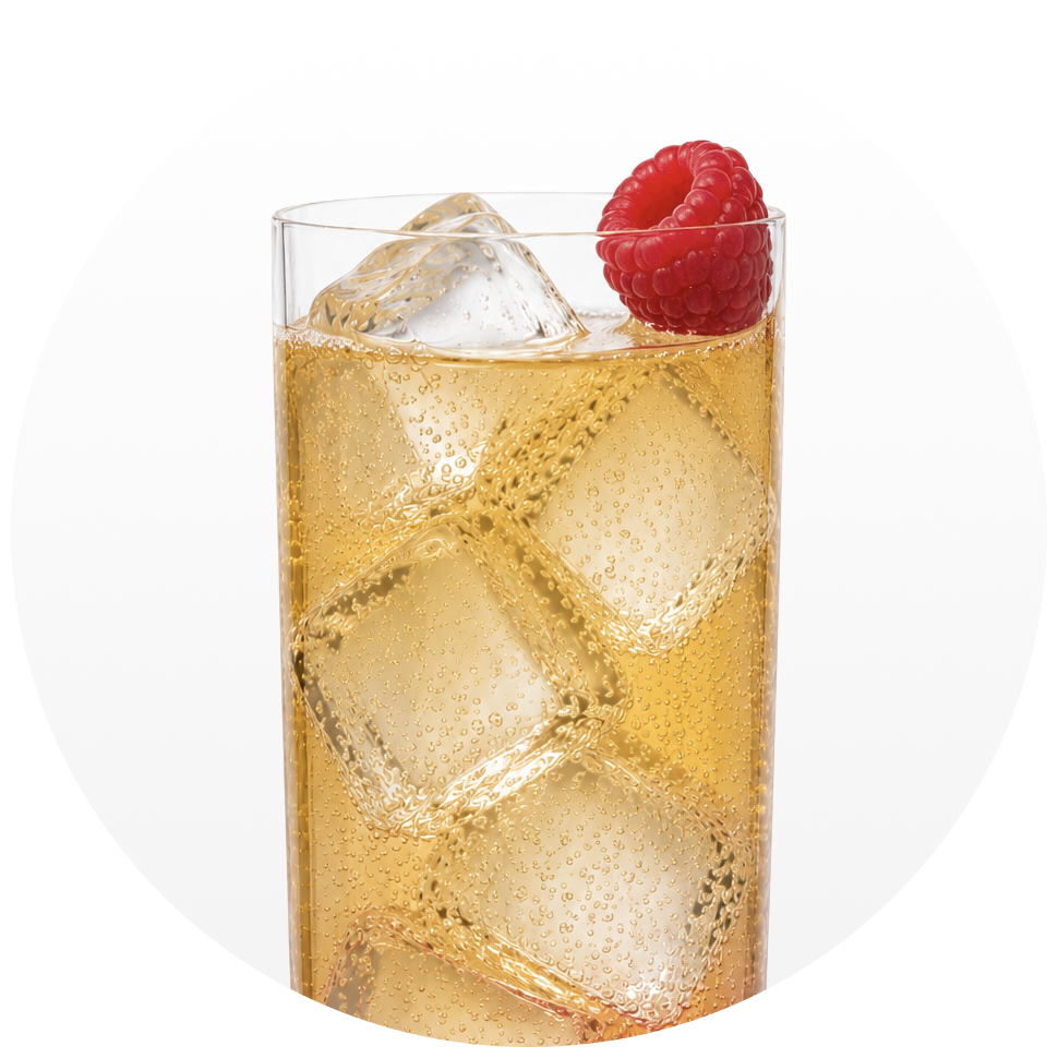 Фруктовый «Хайбол» (Fruit Highball)