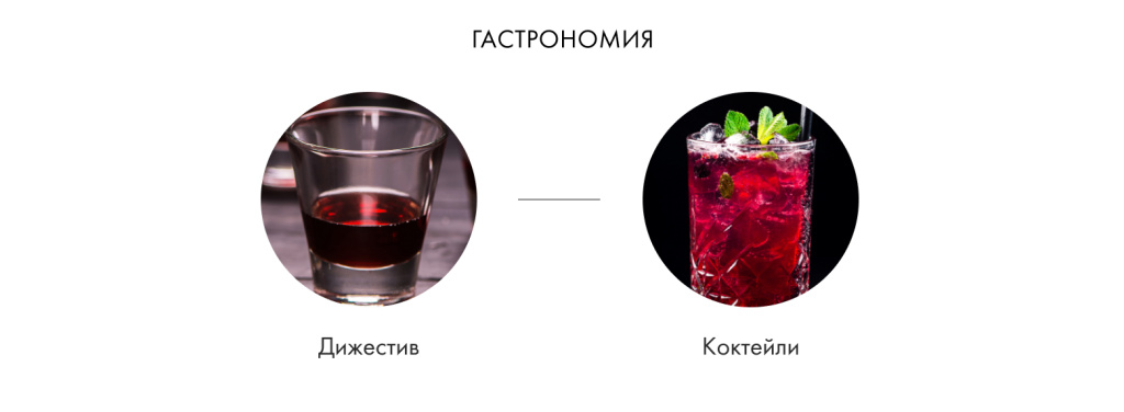 Гастрономия