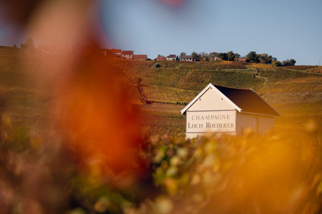 Louis Roederer