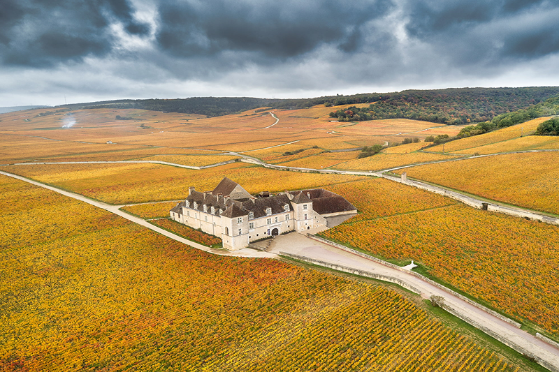 Clos de Vougeot