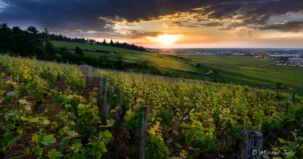 Domaine des Croix