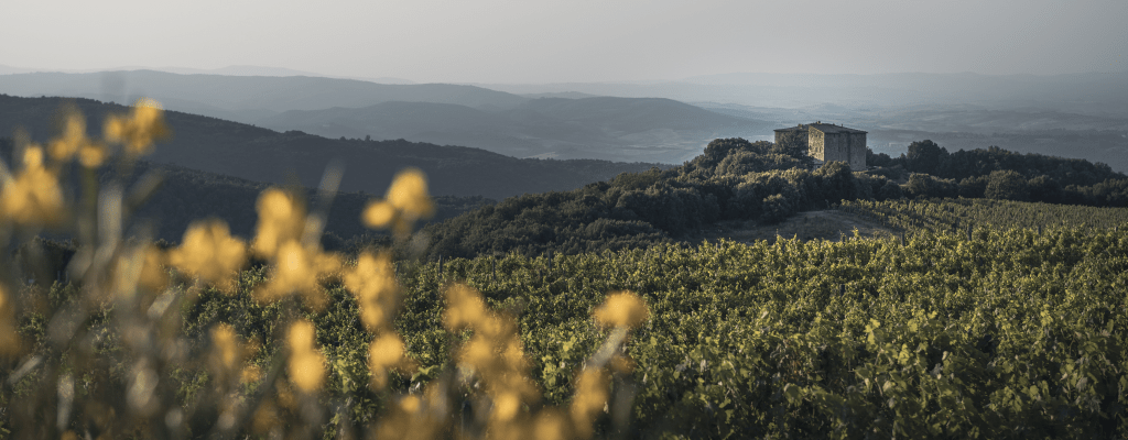 Montepulciano