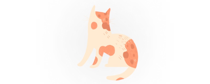 Котик