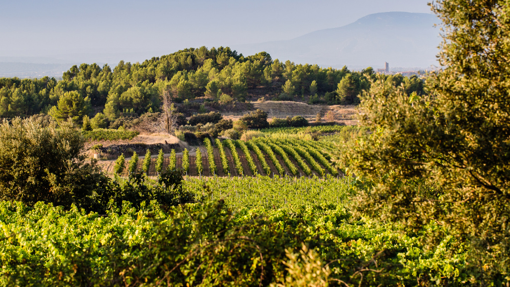 Crémant de Limoux